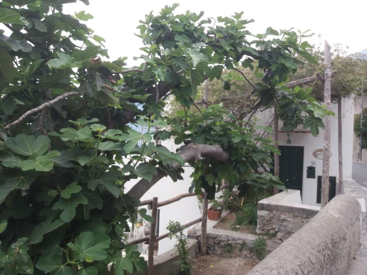 Casa Rosetta Vila Praiano Exterior foto
